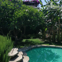 фото из отзыва ID 2011548