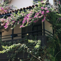 фото из отзыва ID 2011548