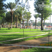 фото из отзыва ID 2011556