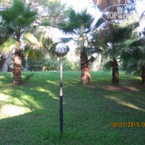 фото из отзыва ID 2011556