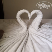 фото из отзыва ID 2011583