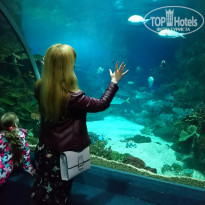 фото из отзыва ID 2011648