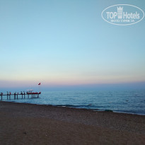 фото из отзыва ID 2011671