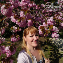 фото из отзыва ID 2011648