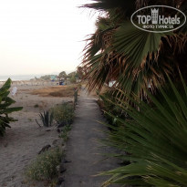 фото из отзыва ID 2011809