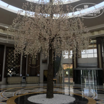 фото из отзыва ID 2011678