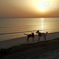 фото из отзыва ID 2010462