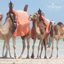 фото из отзыва ID 2010462