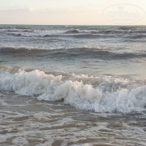 фото из отзыва ID 2010462