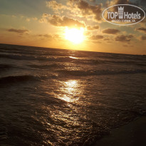 фото из отзыва ID 2010462