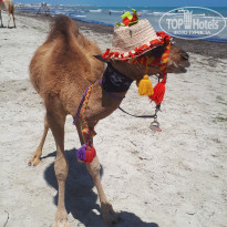 фото из отзыва ID 2010462