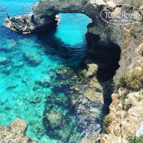 фото из отзыва ID 2011919