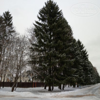 фото из отзыва ID 2011985