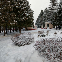 фото из отзыва ID 2011985