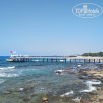 фото из отзыва ID 2011789