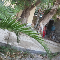 фото из отзыва ID 2012034