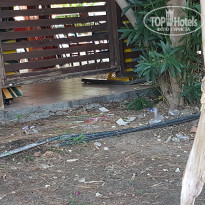 фото из отзыва ID 2012034