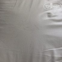 фото из отзыва ID 2012037