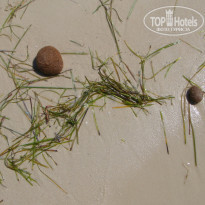 фото из отзыва ID 2011968