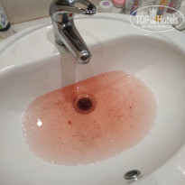 фото из отзыва ID 2011968