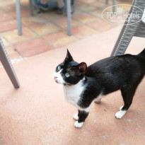 фото из отзыва ID 2012106