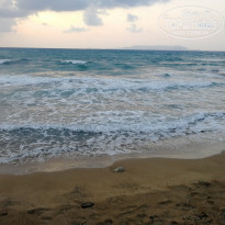 фото из отзыва ID 2012106