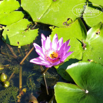 фото из отзыва ID 2012103