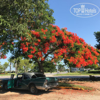 фото из отзыва ID 2010897