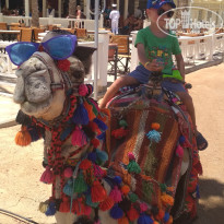 фото из отзыва ID 2012171