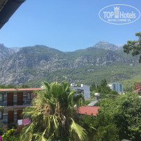 фото из отзыва ID 2012220