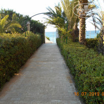 фото из отзыва ID 2010240