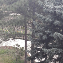 фото из отзыва ID 2012460