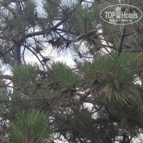 фото из отзыва ID 2012460