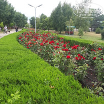 фото из отзыва ID 2012460