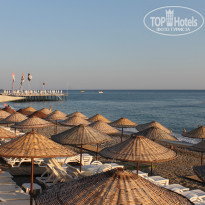 фото из отзыва ID 2012512