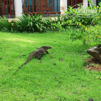 фото из отзыва ID 2012508