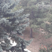 фото из отзыва ID 2012460