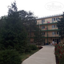 фото из отзыва ID 2012460