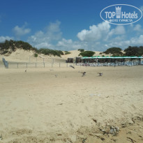 фото из отзыва ID 2012460