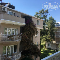 фото из отзыва ID 2012575