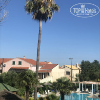 фото из отзыва ID 2012614