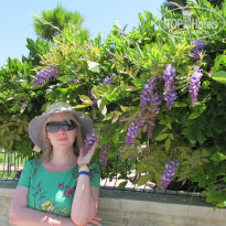 фото из отзыва ID 2012528