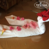 фото из отзыва ID 2012651