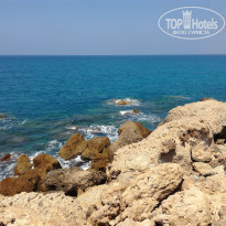 фото из отзыва ID 2011142