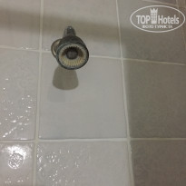 фото из отзыва ID 2012772