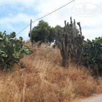 фото из отзыва ID 2012873