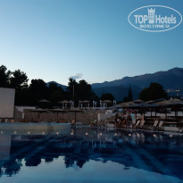 фото из отзыва ID 2013065