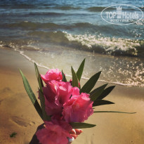 фото из отзыва ID 2013071