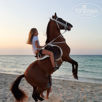 фото из отзыва ID 2013132