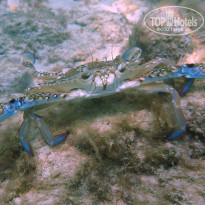 фото из отзыва ID 2013132